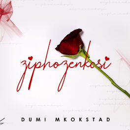 Album cover of Ziphozenkosi