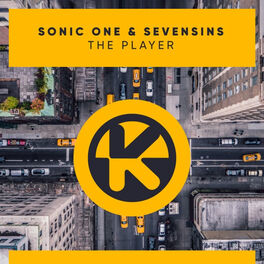 Album cover of The Player
