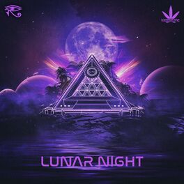 Album cover of Lunar Night