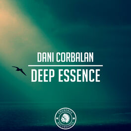 Album cover of Deep Essence