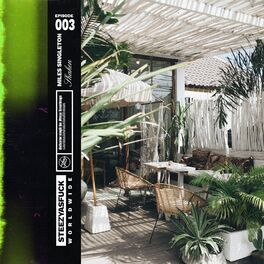Album cover of shaken