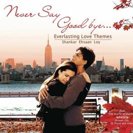 Album cover of Never Say Good Bye