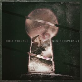 Album cover of New Perspective