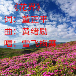 中正平和 花界 Lyrics And Songs Deezer