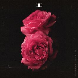 Album cover of CC