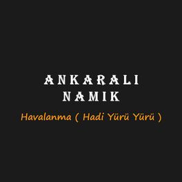 Album cover of Havalanma ( Hadi Yürü Yürü )
