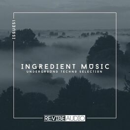 Album cover of Ingredient Music, Vol. 51