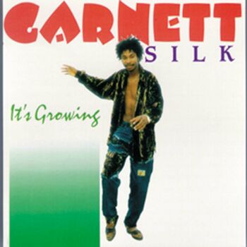 Garnett Silk - Place In Your Heart: listen with lyrics | Deezer
