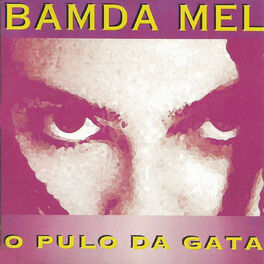 Album cover of O pulo da gata