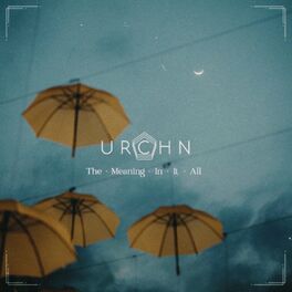 Album cover of The Meaning In It All