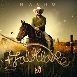 Album cover of Folklore