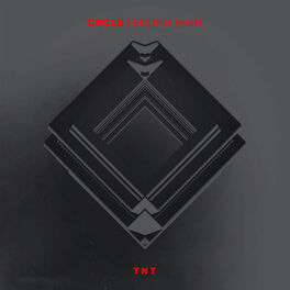 Album cover of Feeling High
