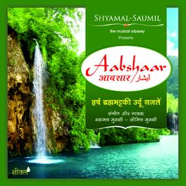 Album cover of Aabshaar