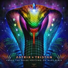 Album cover of Awake the Snake (Volcano on Mars Remix)