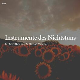 Album cover of * Instrumente des Nichtstuns für Selbstheilung, Stille und Vitalität *