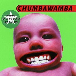 Album picture of Tubthumper