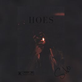 Album cover of Hoes (feat. Yung Parse)