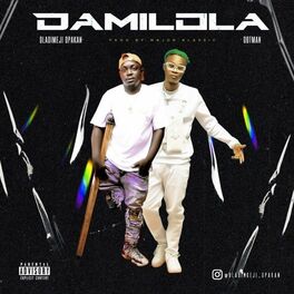 Album cover of Damilola