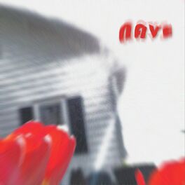 Album cover of Nave