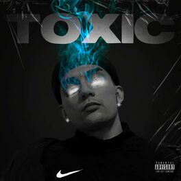 Song Id For Toxic
