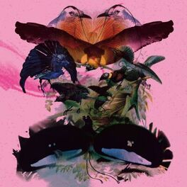 Album cover of Rojus (Designed To Dance)