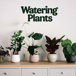 Album cover of Watering Plants