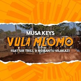 Album cover of Vula Mlomo