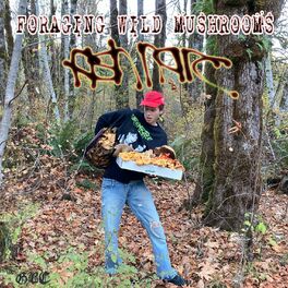 Album cover of Foraging Wild Mushrooms