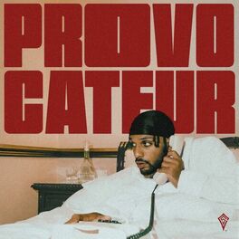 Album cover of provocateur (deluxe)