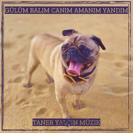 Album cover of Gülüm Balım Canım Amanım Yandım