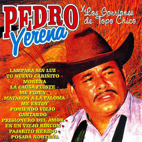 PEDRO YERENA - Morena la Causa Fuiste: Canción con letra | Deezer