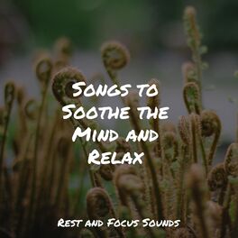 Album cover of Songs to Soothe the Mind and Relax