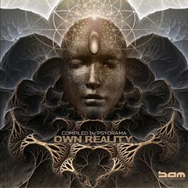 Album cover of Own Reality by Psyorama