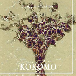 Album cover of Kokomo
