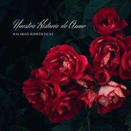 Album cover of Nuestra Historia de Amor