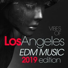 Album cover of Vibes Of Los Angeles EDM Music 2019 Edition