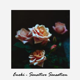Album cover of Sensitive Sensation