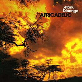 Album cover of Africadelic