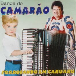 Album cover of Forrofando em Caruaru