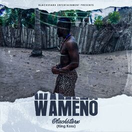 Album cover of Wameno