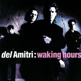 Album cover of Waking Hours