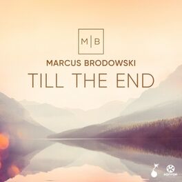 Album cover of Till the End
