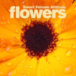 Album cover of Flowers