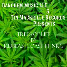 Album cover of Trees of Life (feat. Nrg)