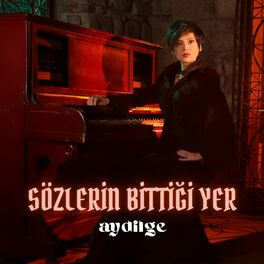 Album cover of Sözlerin Bittiği Yer