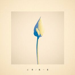 Album cover of Kokoroe / Kamihitoe