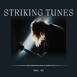 Album cover of Striking Tunes Vol 2