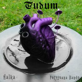 Album cover of Tudum