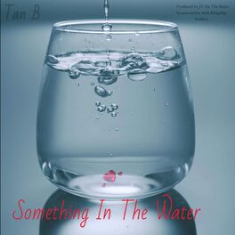 Album cover of Something In The Water (feat. Cheeze )