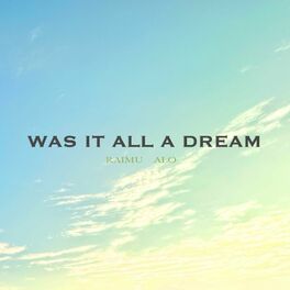 Album cover of WAS IT ALL A DREAM (feat. ALO)